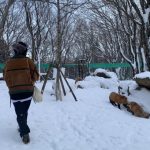 西野七瀬、インスタフォロワーが150万人越に感謝