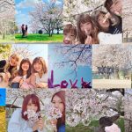 MACO、桜の写真で制作された最新シングル「桜の木の下」のスペシャルムービーが完成