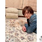 DAIGO、愛猫・ジルにメロメロなSHOTにファン反響！「これからもDAIGO家を癒してあげて」