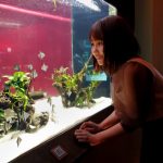 丸りおなが 7/17(金)オープン「カワスイ川崎水族館」をレポート！ジャングルのような大自然から巨大水槽まで最先端の空間が圧巻！