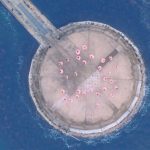 NGT48、待望の新曲『シャーベットピンク』MVが解禁！「皆さんと一緒に盛り上がりたい曲となっています！」