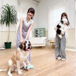 日向坂46と「どうぶつピース！！」がマル秘プロジェクトを始動！？