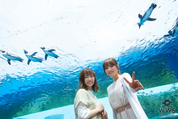 桃月なしこ、ニジマス 来栖りんと念願の共演！「お仕事がしたいと言い続けていてよかった」