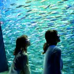 桃月なしこ、ニジマス 来栖りんと念願の共演！「お仕事がしたいと言い続けていてよかった」