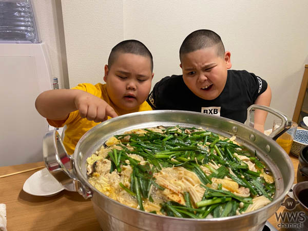 下町ゴリラ兄弟、インスタフォロワー数5.9万人、YouTube登録者数1,980人と可愛さに注目が集まる！