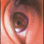 写真家、桑島智輝が安達祐実との日々をまとめた待望の続編「我旅我行」発売！