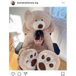 橋本環奈、ぬいぐるみに挟まれる寝顔ショット！「赤ちゃんじゃん！」「可愛いさ1億点」と反響！