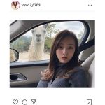 板野友美、アルパカと真顔2ショット！「どっちもカワイイ」「シンクロしましたね」