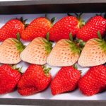 橘ケンチ（EXILE）、グルメいちご館前田とコラボで〈橘イチゴ〉をリリース！「未来の農業や日本の活性化のために一緒に歩んでいきたい。」