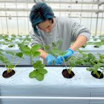 橘ケンチ（EXILE）、グルメいちご館前田とコラボで〈橘イチゴ〉をリリース！「未来の農業や日本の活性化のために一緒に歩んでいきたい。」