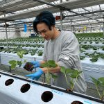 橘ケンチ（EXILE）、グルメいちご館前田とコラボで〈橘イチゴ〉をリリース！「未来の農業や日本の活性化のために一緒に歩んでいきたい。」