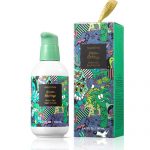 イニスフリーから「Green Holidays」が登場