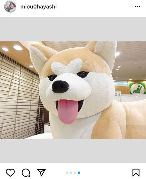 林美桜アナウンサー、八王子駅の巨大な秋田犬とご対面「ふわふわで大きかったです」