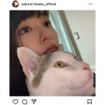 桜田茉央が新宣材写真を公開！インスタフォロワーも1万人に