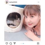 トリンドル玲奈、「ねこカフェ列車」で猫とのふれあいショット公開「かわいさの相乗効果すごーい！」