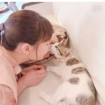 トリンドル玲奈、「ねこカフェ列車」で猫とのふれあいショット公開「かわいさの相乗効果すごーい！」