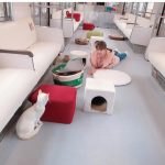 トリンドル玲奈、「ねこカフェ列車」で猫とのふれあいショット公開「かわいさの相乗効果すごーい！」