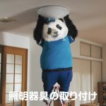 桃月なしこ出演！サカイ引越センター「まごころパンダ」新TVCMが公開