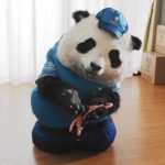 桃月なしこ出演！サカイ引越センター「まごころパンダ」新TVCMが公開