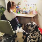 高岡早紀、可愛い3人娘のうしろ姿に「素敵な写真」「3姉妹とも可愛い」「本当に姉妹見たい」 「娘さんも後ろ姿だけど、雰囲気が早紀さんですよね～」「振り向いたお顔が最高可愛い」の声