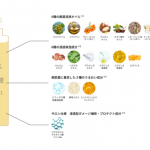 「美肌菌*」に着目したスキンケア発想のヘアケアブランド【Purunt.（プルント）】新発売