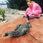 丸山桂里奈、“一番大変だったロケかも”と回顧！満面笑みでワニにまたがる写真に「笑顔で ロケに挑むカリちゃん凄いっ！！」と反響