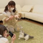 日向坂46が『どうぶつピース!!』にゲスト出演！佐々木美玲が念願のカワウソと対面