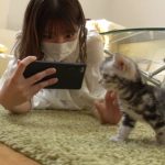 日向坂46が『どうぶつピース!!』にゲスト出演！佐々木美玲が念願のカワウソと対面