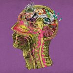 SEKAI NO OWARI、オリジナル・アルバム『scent of memory』ジャケット写真解禁！