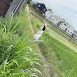 池本しおりが砂浜でスイカ割りに挑戦！