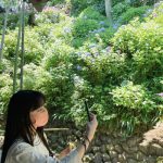 アンジュルム・上國料萌衣、紫陽花バックの自撮りショットを披露！「かみこ様可愛い」