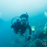 横浜流星、TBS×海外共同制作ドラマ「DCU」に出演決定! 撮影に先立ちスキューバダイビングのライセンスも取得