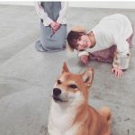 乃木坂46 与田祐希、高山一実との犬耳ショットをお届け!