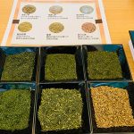 10月1日は日本茶の日!お〜いお茶ハウスがJINNAN HOUSEに期間限定開設