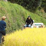 橘ケンチ×油長酒造のコラボ日本酒『風の森橘feat.農家酒屋杉浦農園』詳細が発表