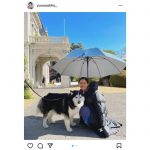 新木優子、ハスキー犬との２ショットにほっこり「すごく可愛い」「ワンダフル」と反響！