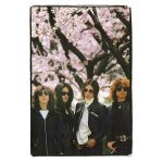 THE YELLOW MONKEY、「SPRING TOUR NAKED」発売に先駆けて先行上映会の開催が決定