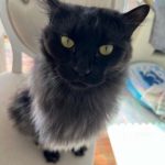 最上もがが胸の谷間あらわな大胆ショットを公開。「33歳とは想えない美貌」「素晴らしい谷間を拝ませて頂きました」とファン歓喜！