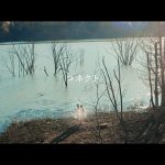 ClariSの代表曲「コネクト」MVが11年の時を経て本人映像でリメイク