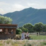 新垣結衣と少年のやり取りに注目！「アサヒ 十六茶」新CMに出演