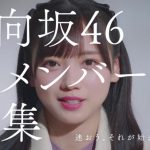 小坂菜緒、加藤史帆、齊藤京子が日向坂46オーディションを振り返るCMが完成