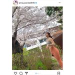 今野杏南、トレーニングウェア姿で桜開花を報告！見えがるヘルシーボディに「100点満点のスタイル」