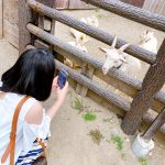 憧れはまふまふ！高校生日本一を決める「ベストオブティーン2022」宮崎県代表は岩崎留奈さんに決定！