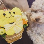 石川恋、愛犬似フラワーアレンジメントを持った微笑みショットを公開