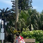 工藤美桜、黒髪ショートと透明素肌で「週刊プレイボーイ」表紙&巻頭グラビアを飾る！