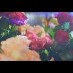 6月27日から都内にてVOYZ BOYのアドトラックの走行が開始！THE YELLOW by VOYZ BOY 「Drivin'」のMV公開