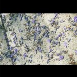 益若つばさ、「4日間お風呂に入ってない」ボサボサ髪を公開！