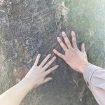 佐野岳･島崎遥香、お別れ後もお互いを思い合う「思い出いっぱいの毎日を過ごせて 本当に楽しかったよ」