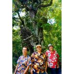 BEGIN、うたの日コンサート2022の開催と2023年春の全国ツアーを発表