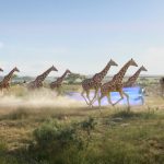 SKY-HI、破天荒な『ソニック・ザ・ムービー』オフィシャルインスパイアーソング ｢Fly Without Wings｣MV公開